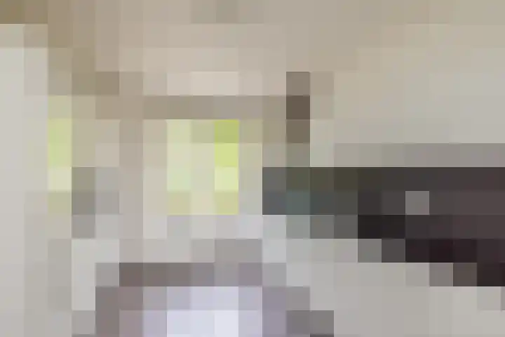 F. Bordewijkpad 4 Leiden thumbnail 14