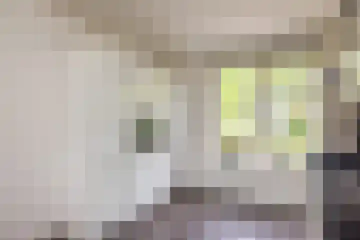 F. Bordewijkpad 4 Leiden thumbnail 15