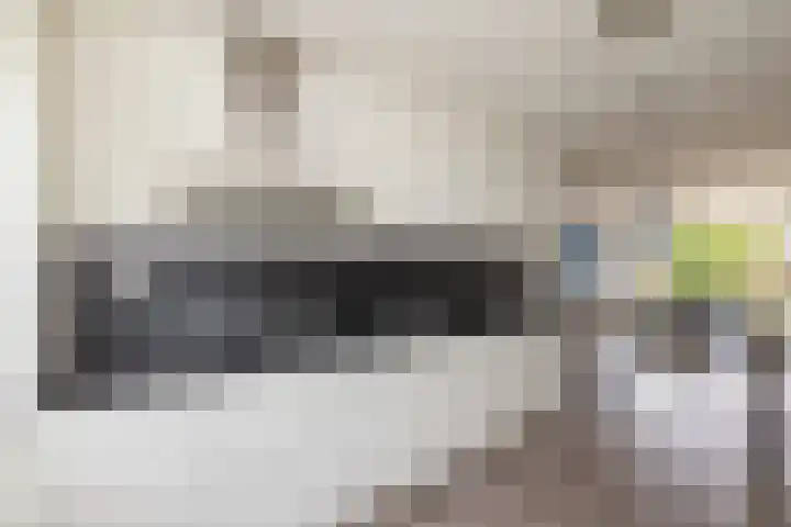F. Bordewijkpad 4 Leiden thumbnail 16