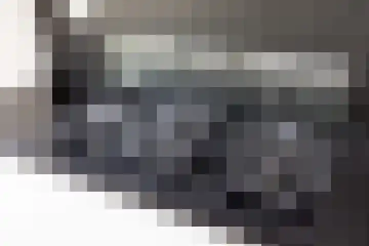 F. Bordewijkpad 4 Leiden thumbnail 17