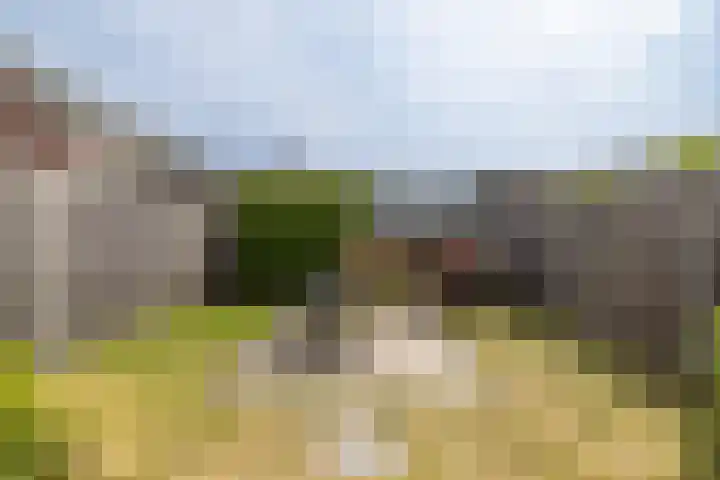 F. Bordewijkpad 4 Leiden thumbnail 21