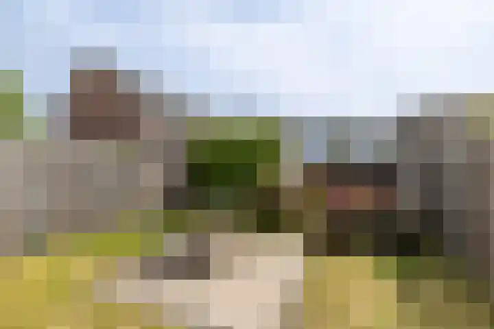 F. Bordewijkpad 4 Leiden thumbnail 23