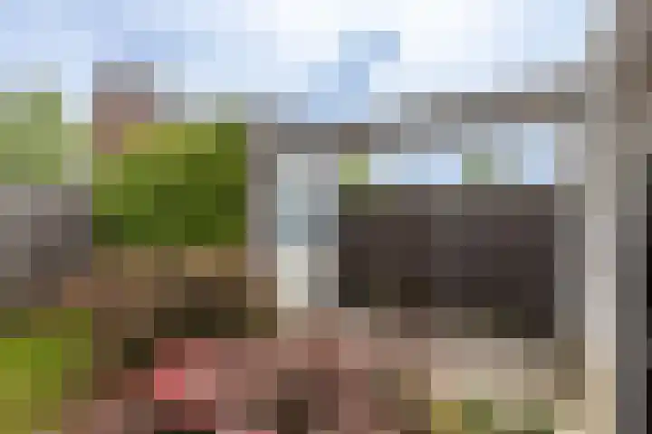 F. Bordewijkpad 4 Leiden thumbnail 24