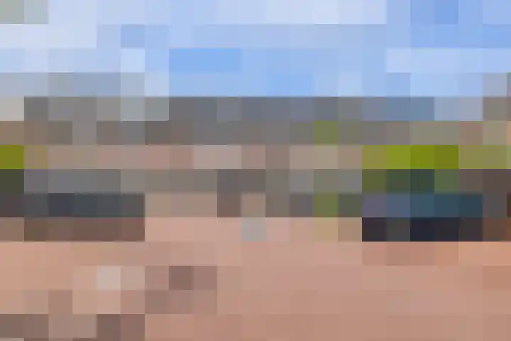 F. Bordewijkpad 4 Leiden thumbnail 27