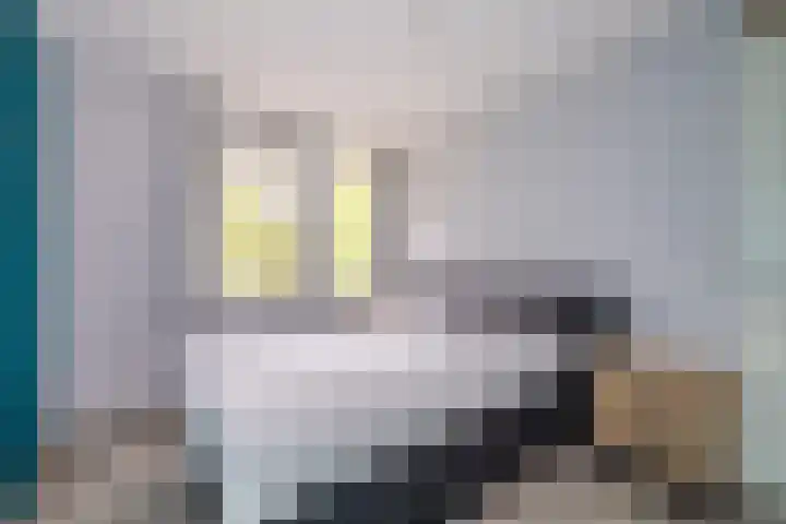 F. Bordewijkpad 4 Leiden thumbnail 31