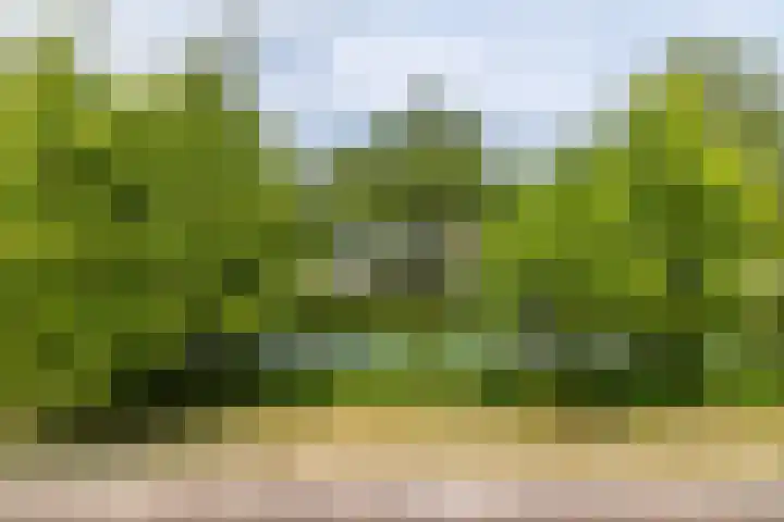 F. Bordewijkpad 4 Leiden thumbnail 32