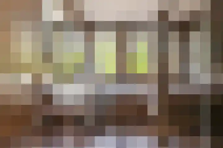 F. Bordewijkpad 4 Leiden thumbnail 36