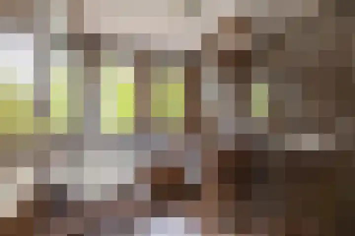 F. Bordewijkpad 4 Leiden thumbnail 37