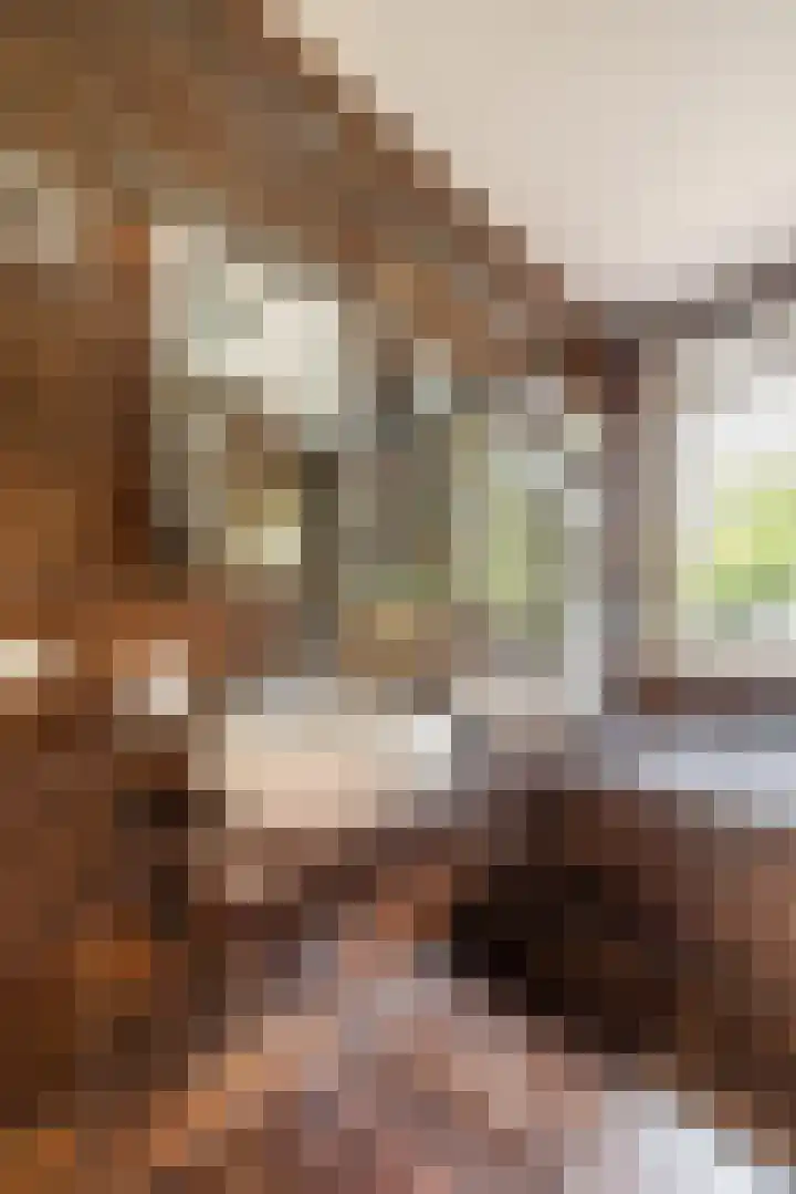 F. Bordewijkpad 4 Leiden thumbnail 38