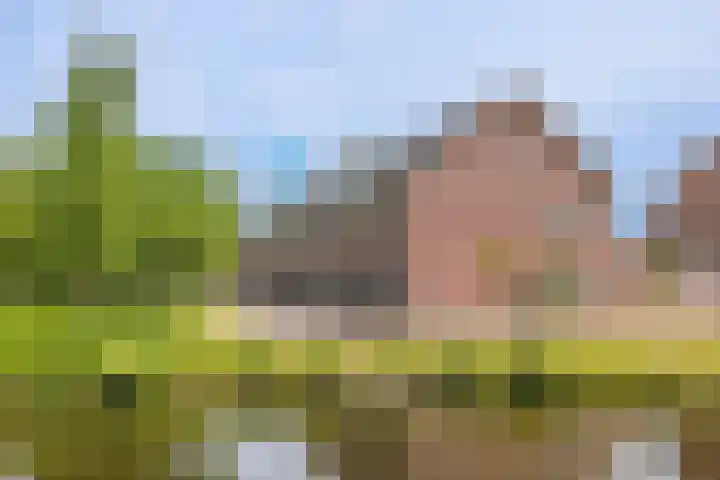 F. Bordewijkpad 4 Leiden thumbnail 4