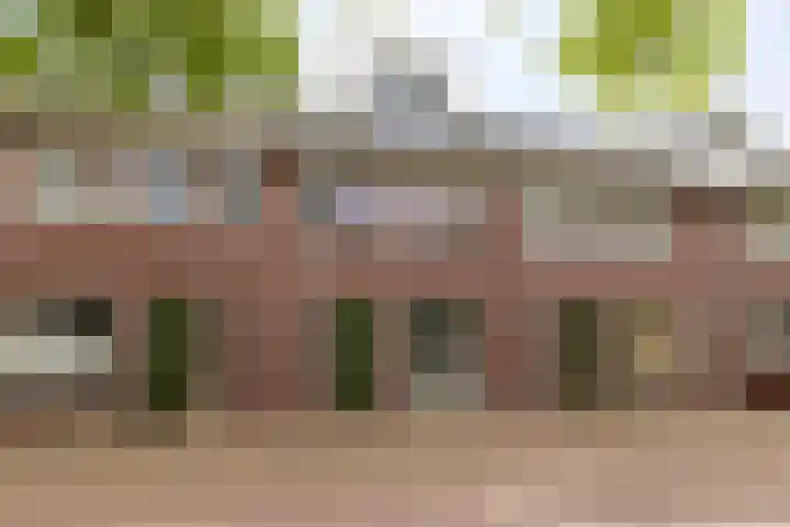 F. Bordewijkpad 4 Leiden thumbnail 5