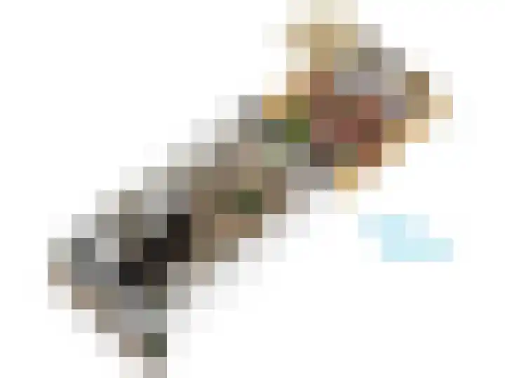 F. Bordewijkpad 4 Leiden thumbnail 56