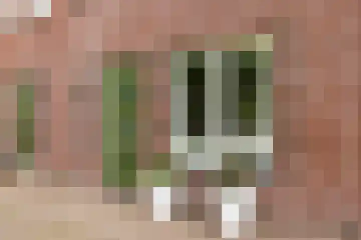 F. Bordewijkpad 4 Leiden thumbnail 6