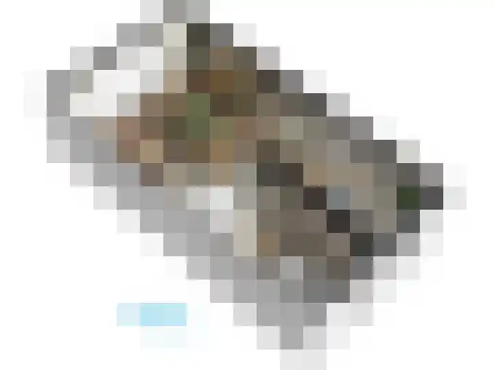 F. Bordewijkpad 4 Leiden thumbnail 61