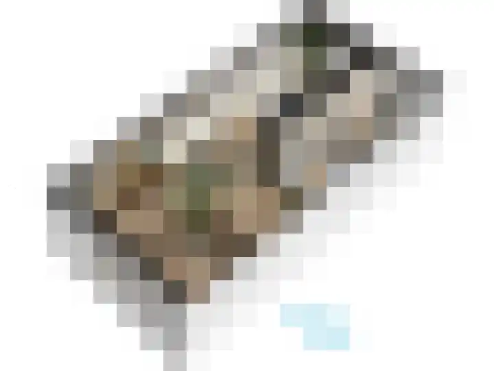 F. Bordewijkpad 4 Leiden thumbnail 62