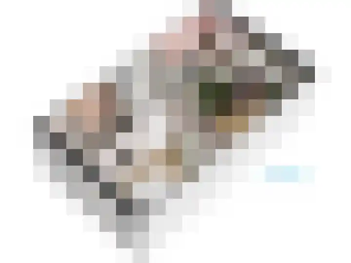 F. Bordewijkpad 4 Leiden thumbnail 64