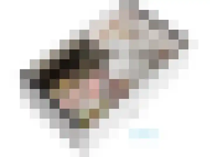 F. Bordewijkpad 4 Leiden thumbnail 66