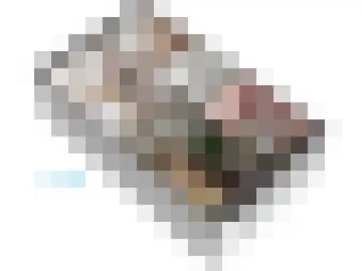 F. Bordewijkpad 4 Leiden thumbnail 67
