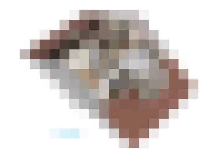 F. Bordewijkpad 4 Leiden thumbnail 69