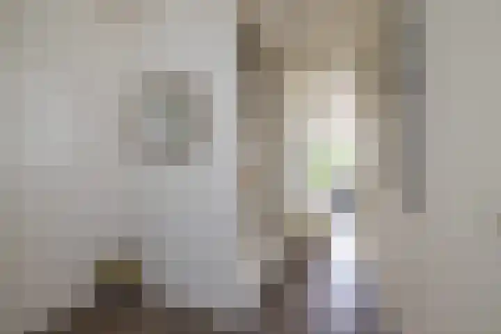 F. Bordewijkpad 4 Leiden thumbnail 8