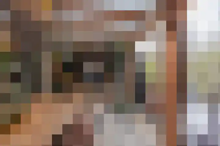 F.C. de Hossonstraat 8 Groningen thumbnail 31
