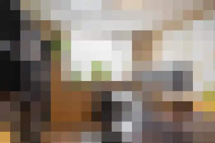 F.C. de Hossonstraat 8 Groningen thumbnail 35