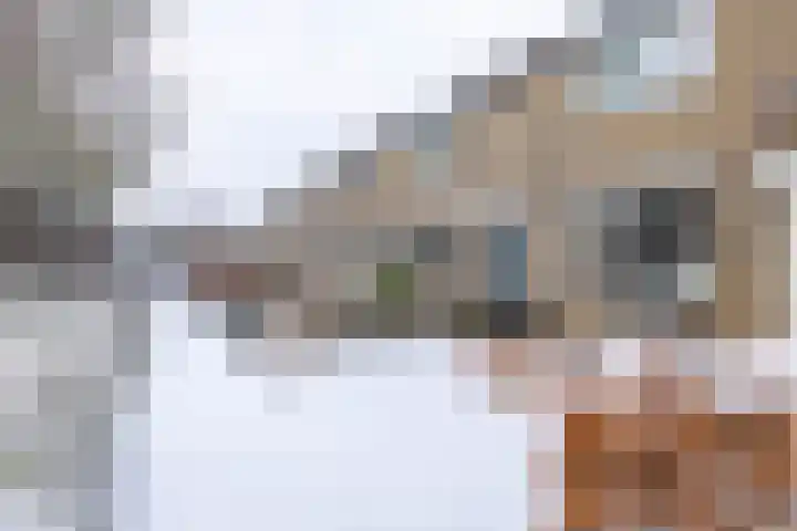 F.C. de Hossonstraat 8 Groningen thumbnail 4