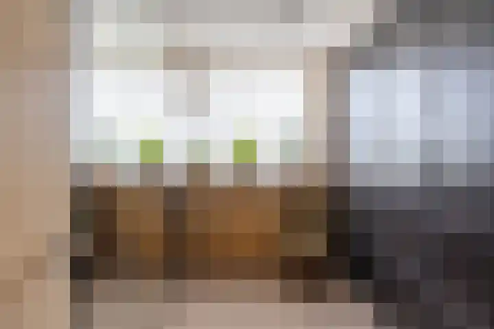 F.C. de Hossonstraat 8 Groningen thumbnail 40