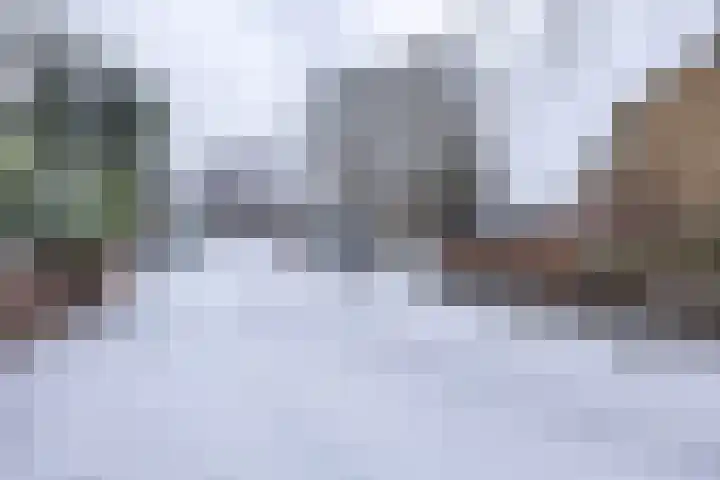 F.C. de Hossonstraat 8 Groningen thumbnail 53