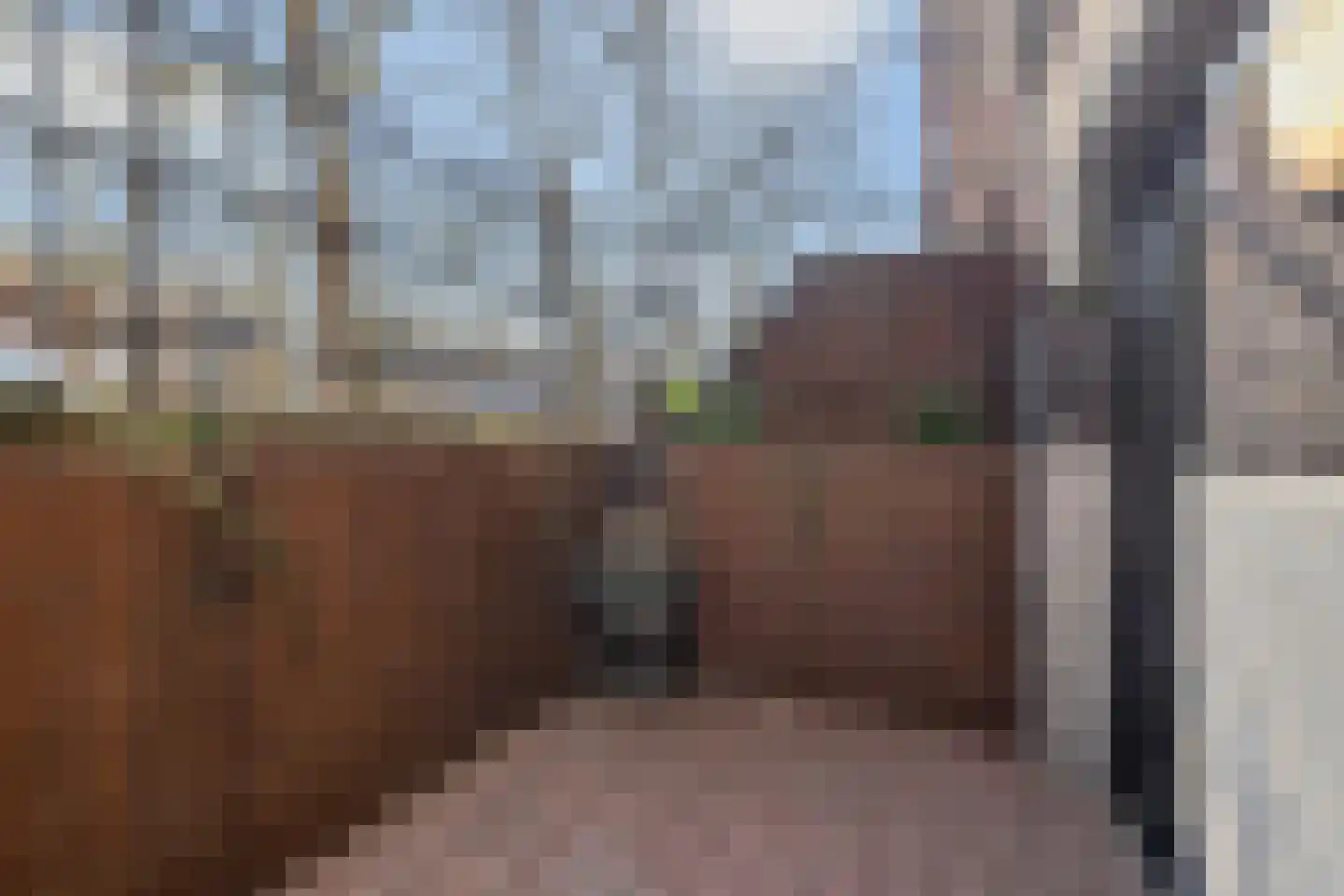 F.C. Dondersstraat 107 Utrecht thumbnail 45