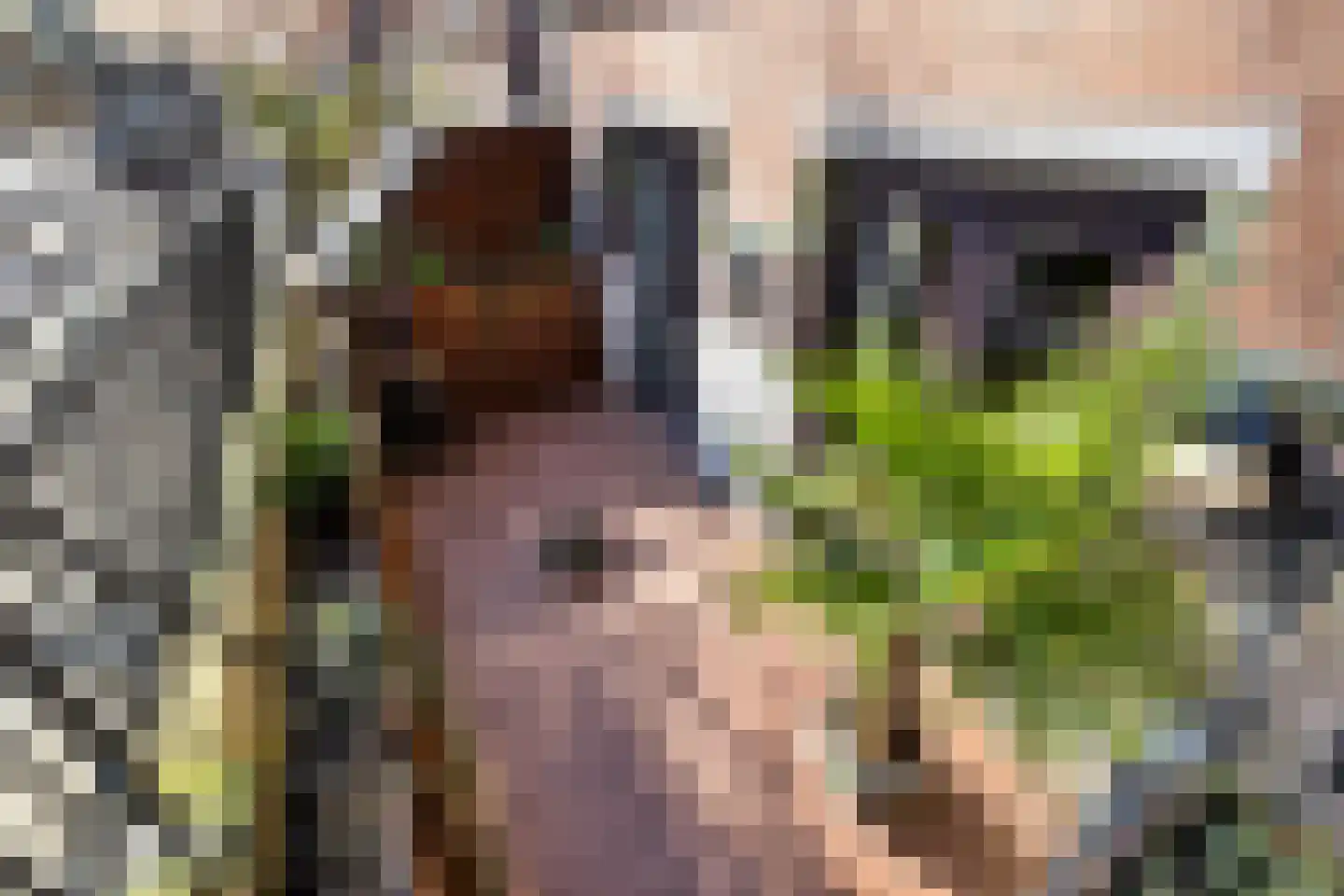 F.C. Dondersstraat 107 Utrecht thumbnail 47