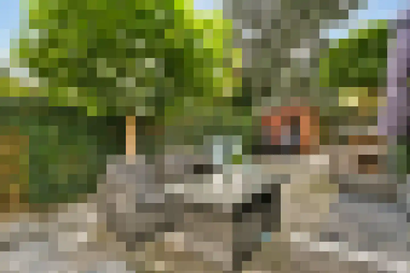 F.C. Dondersstraat 15 Vlaardingen thumbnail 16