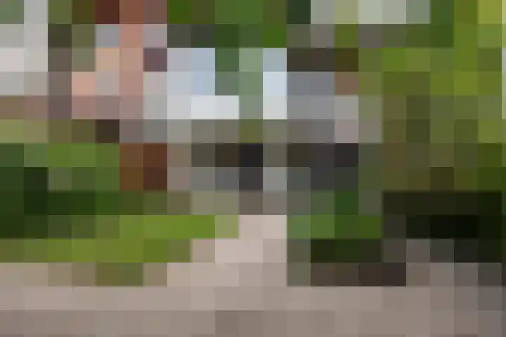 F.C. Dondersstraat 24 Utrecht thumbnail 19