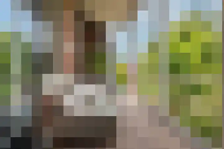 F.C. Dondersstraat 24 Utrecht thumbnail 32