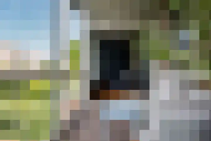 F.C. Dondersstraat 24 Utrecht thumbnail 33