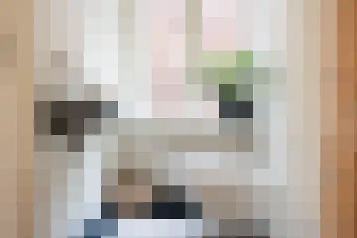 F.C. Dondersstraat 24 Utrecht thumbnail 57