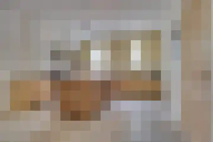F.C. Dondersstraat 24 Utrecht thumbnail 8