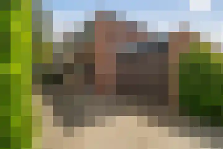 F.C. Dondersstraat 25 in Vlaardingen