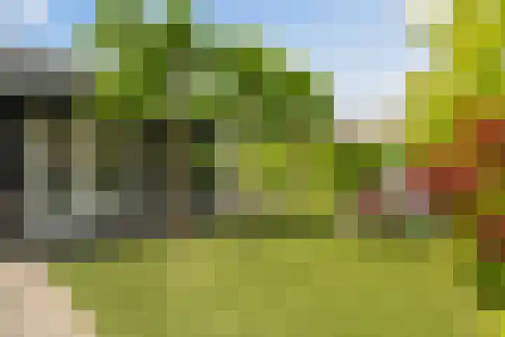 F.C. Dondersstraat 25 Vlaardingen thumbnail 36