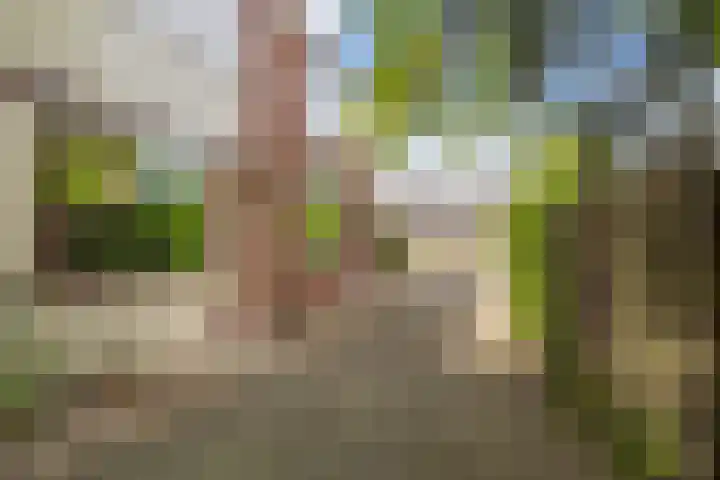 F.C. Dondersstraat 25 Vlaardingen thumbnail 7