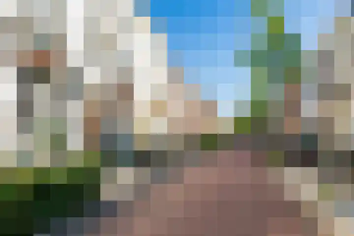 F.C. Dondersstraat 4 B Utrecht thumbnail 48