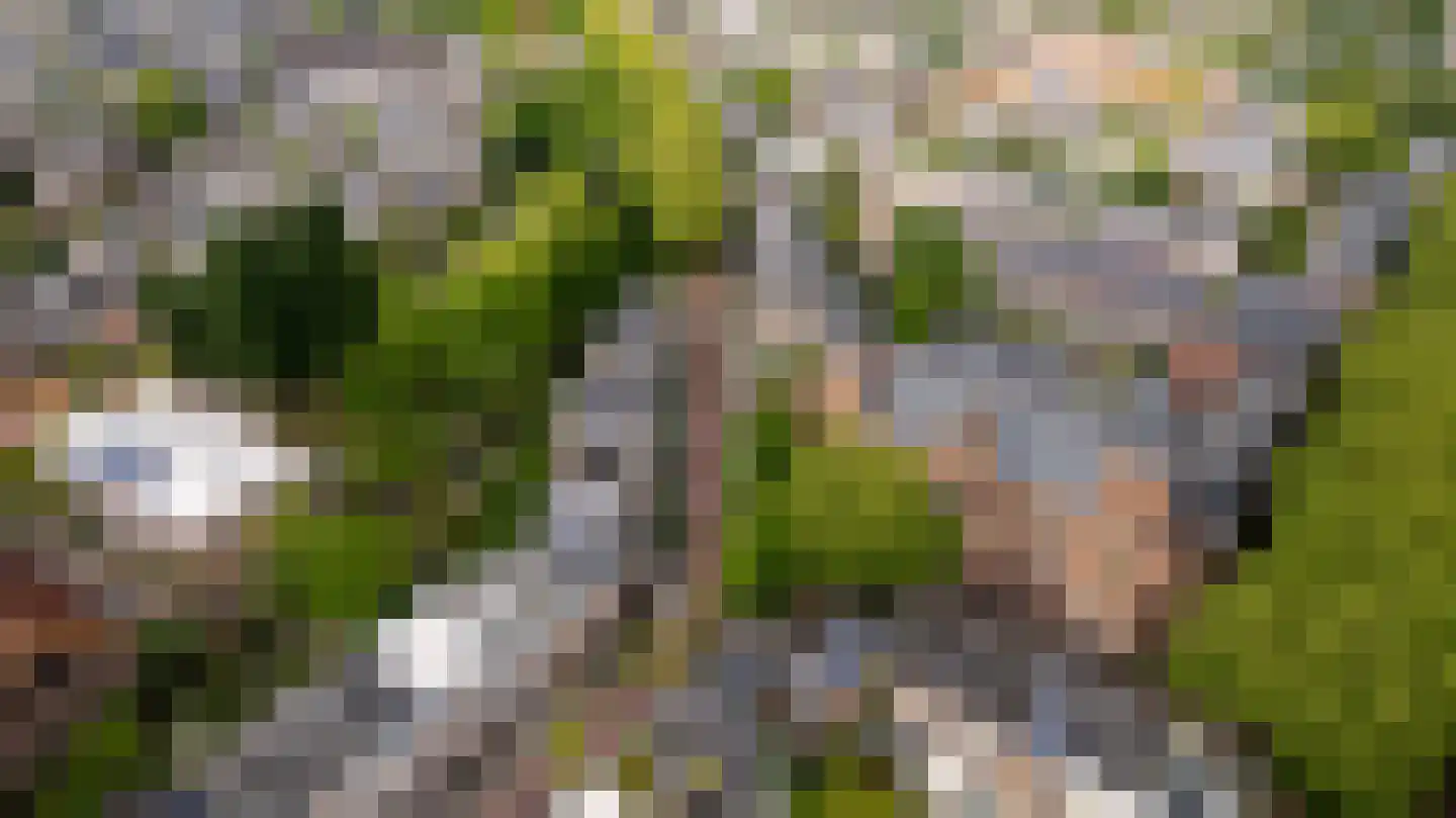 F.C. Dondersstraat 42 Utrecht thumbnail 31