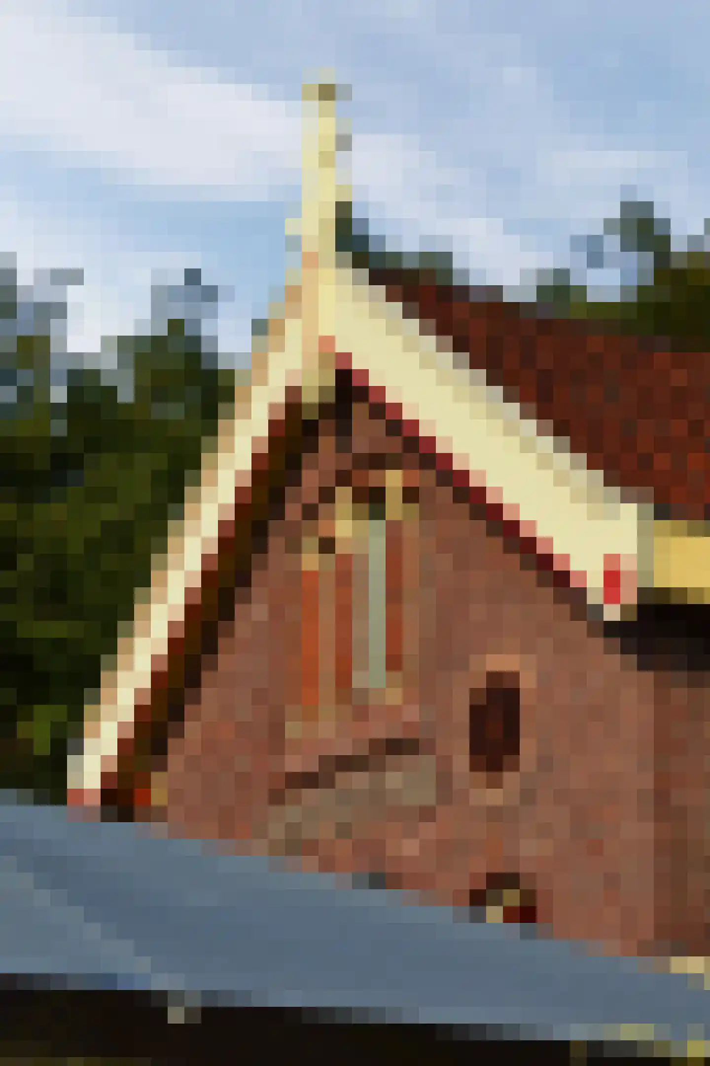 F.C. Dondersstraat 42 Utrecht thumbnail 35