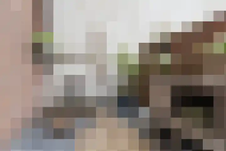 F.C. Dondersstraat 5 Utrecht thumbnail 24