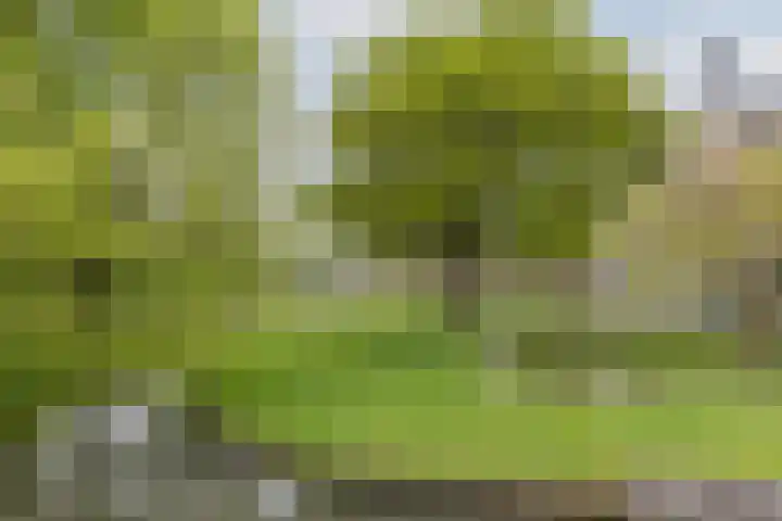 F.C. Dondersstraat 5 Utrecht thumbnail 34