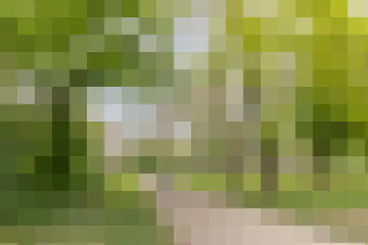 F.C. Dondersstraat 5 Utrecht thumbnail 35