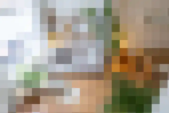 F.C. Dondersstraat 5 Utrecht thumbnail 8
