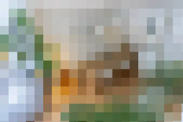 F.C. Dondersstraat 5 Utrecht thumbnail 9
