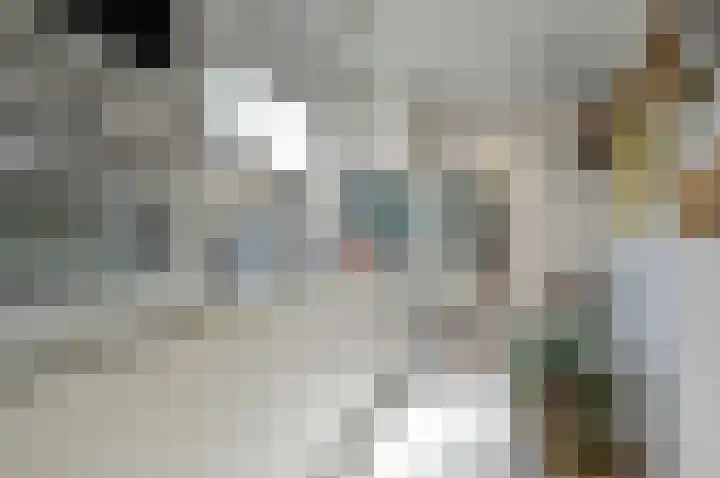 F.C. Dondersstraat 6 Bussum thumbnail 8