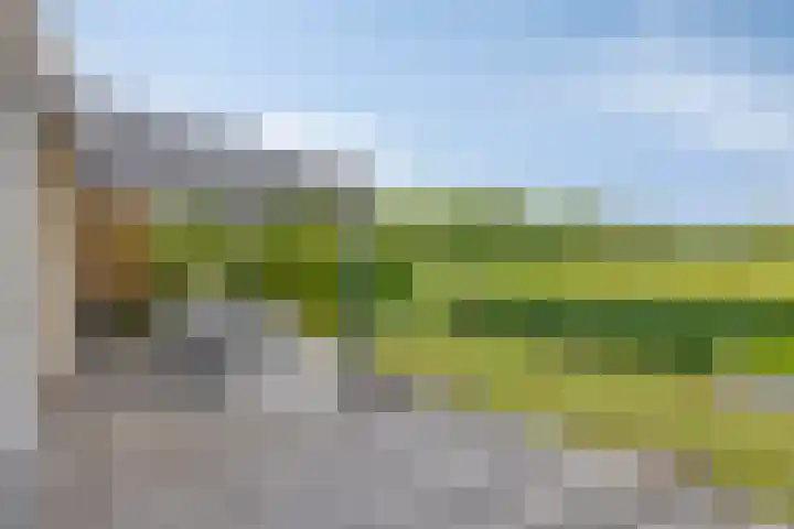 F.C. Dondersstraat 7 Hengelo thumbnail 26